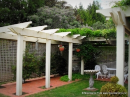 Pergola and Wisteria sinensis