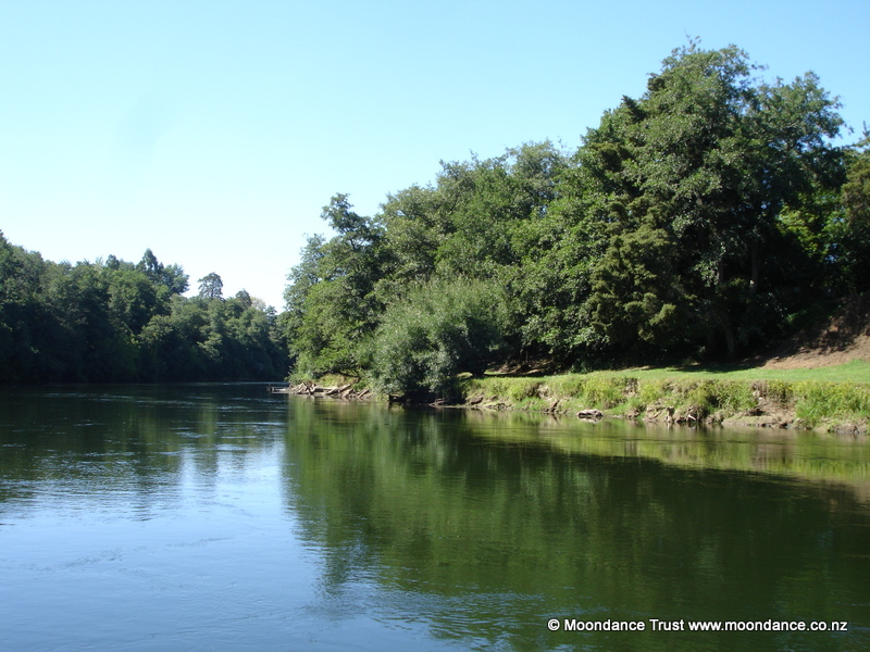 Photo Gallery « Moondance Manor Gardens